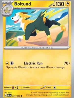 Boltund Pokemon
