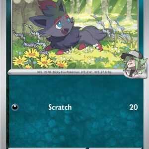 N's Zorua #136 - Pokemon Ascended Heroes