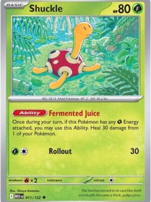 Shuckle Pokemon