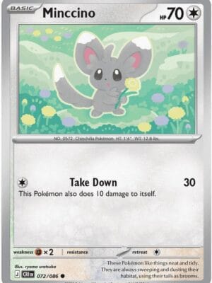 Minccino Pokemon