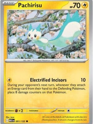 Pachirisu Pokemon