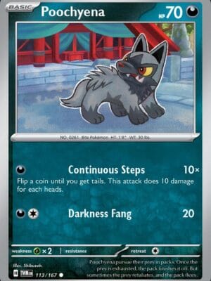 Poochyena Pokemon